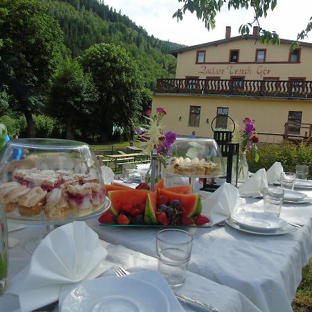 Villa Zacisze Trzech Gor Jedlina-Zdroj Exterior foto