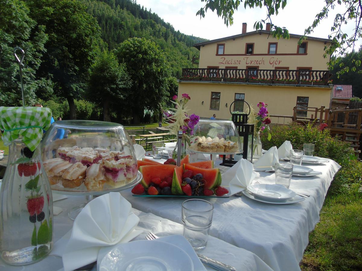 Villa Zacisze Trzech Gor Jedlina-Zdroj Exterior foto