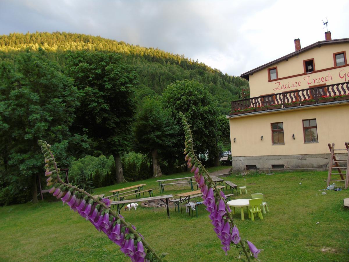 Villa Zacisze Trzech Gor Jedlina-Zdroj Exterior foto