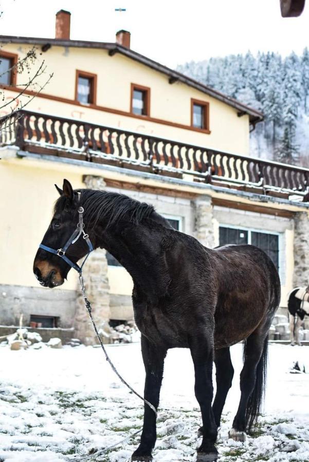 Villa Zacisze Trzech Gor Jedlina-Zdroj Exterior foto