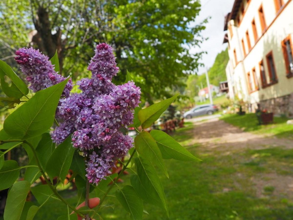 Villa Zacisze Trzech Gor Jedlina-Zdroj Exterior foto
